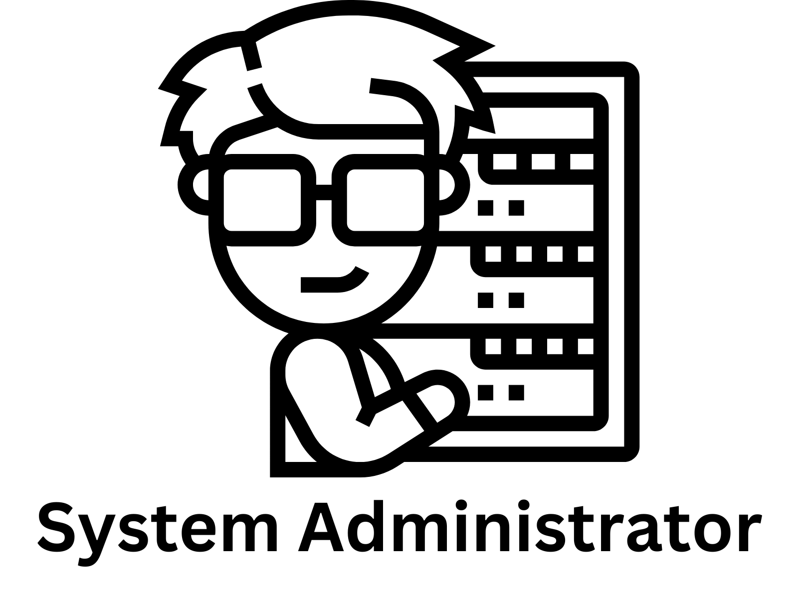 system administrator